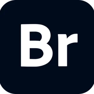 Adobe Bridge 2025